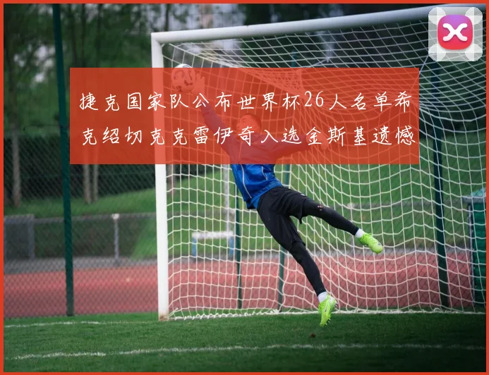 捷克国家队公布世界杯26人名单希克绍切克克雷伊奇入选金斯基遗憾落选