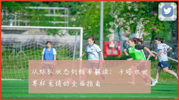 从球队状态到赔率解读：卡塔尔世界杯竞猜的全面指南